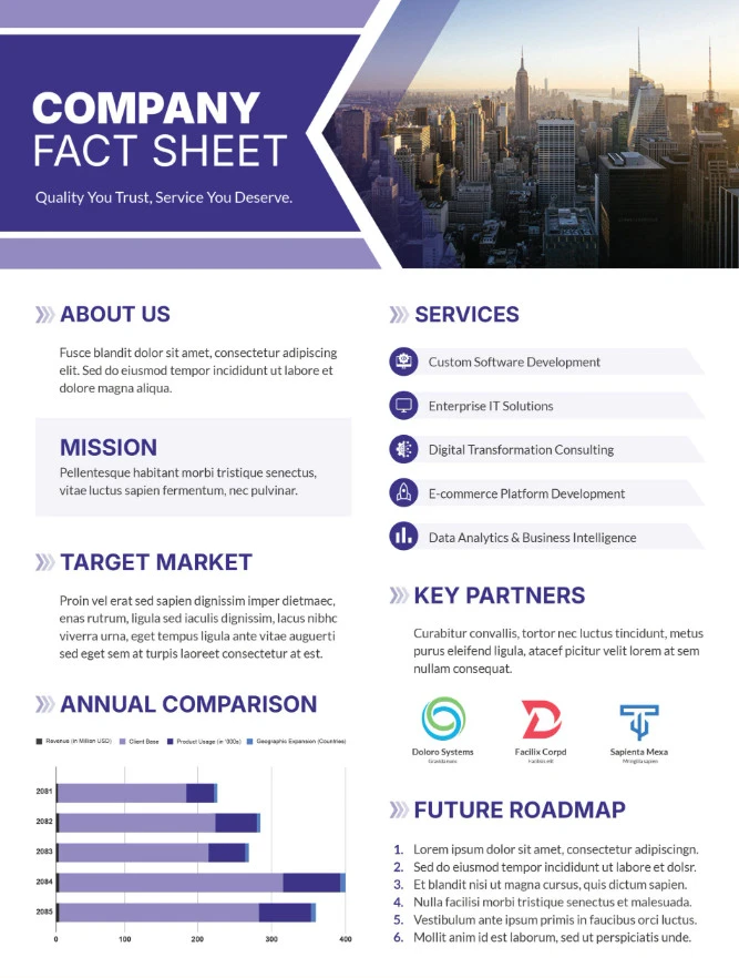 Example of Fact Sheet Template