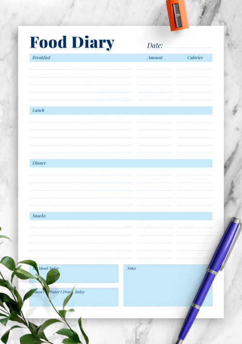 Meal Log Template
