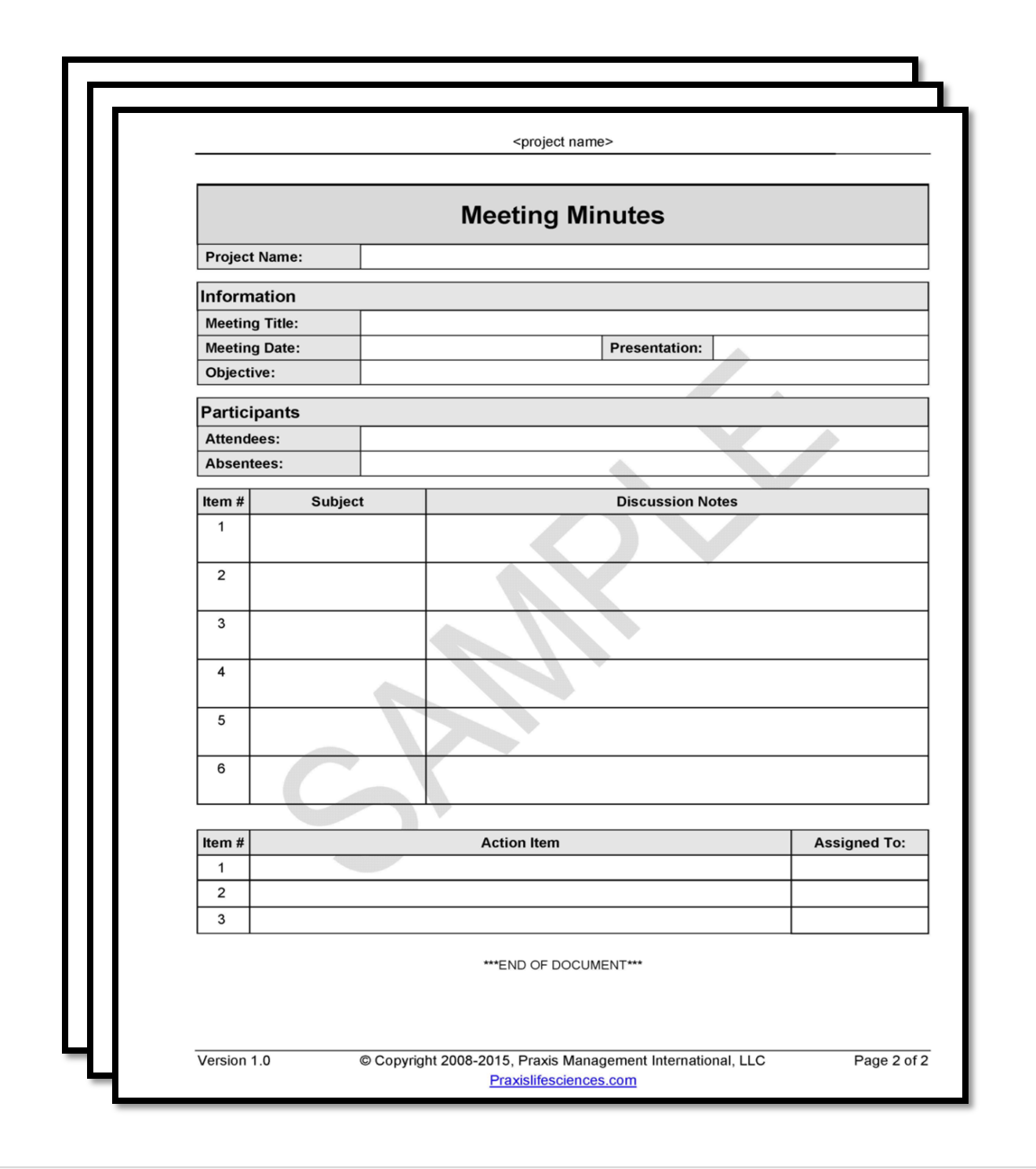 Meeting Minutes Template
