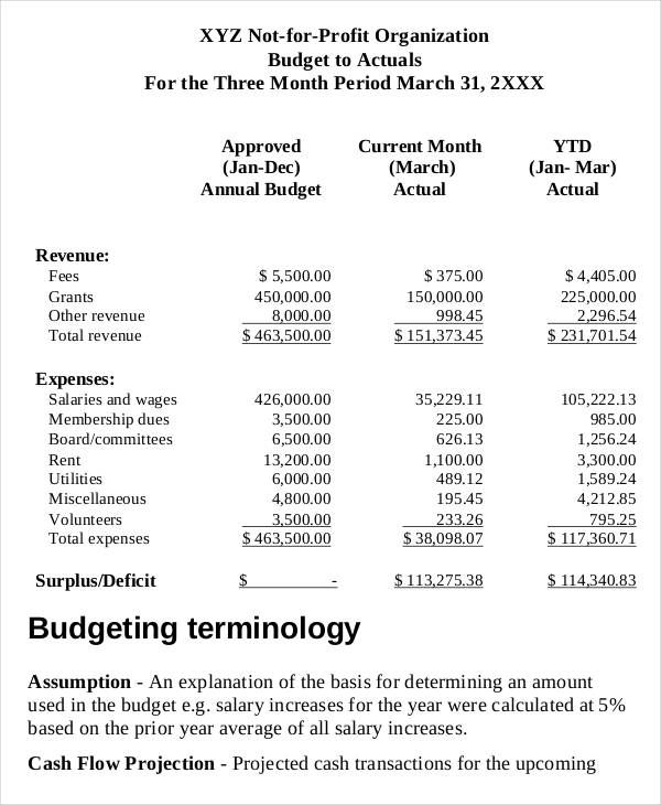 Non Profit Operating Budget Template