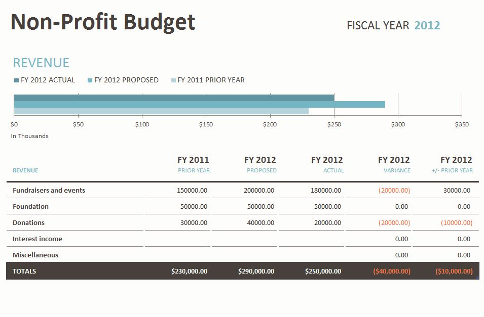 Non Profit Operating Budget Template