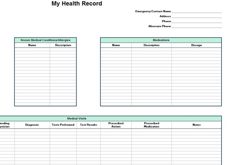 Personal Medical Health Record Sheet Template Example Personal Medical Health Record Sheet Template Example