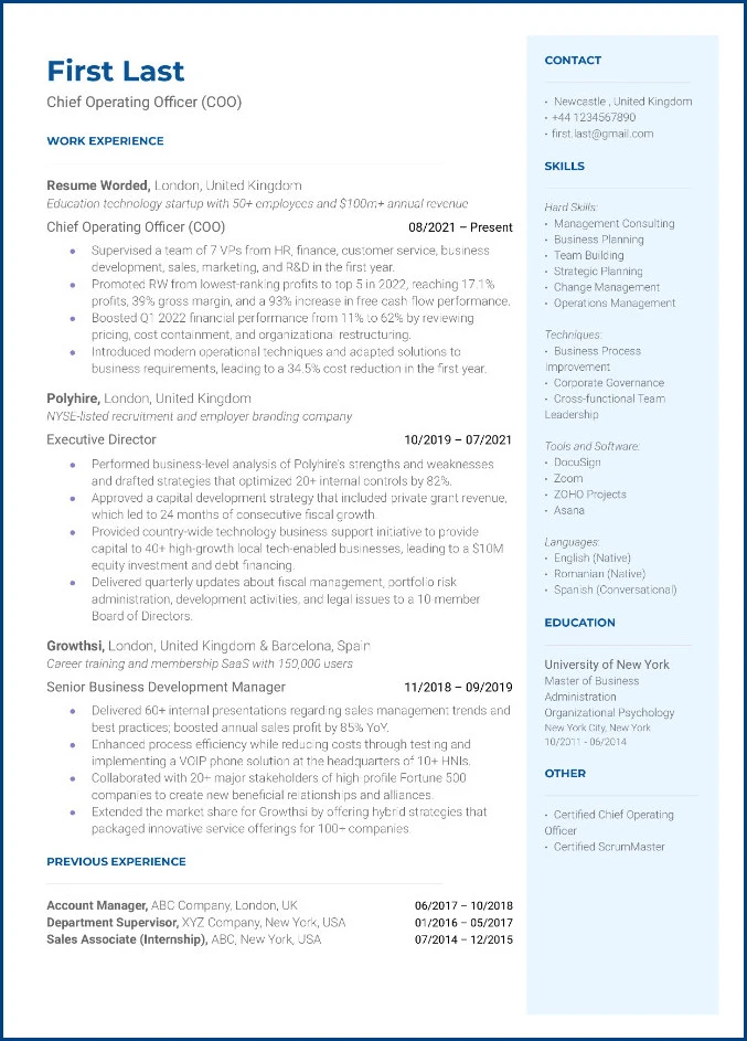 Sample of Executive Resume Template