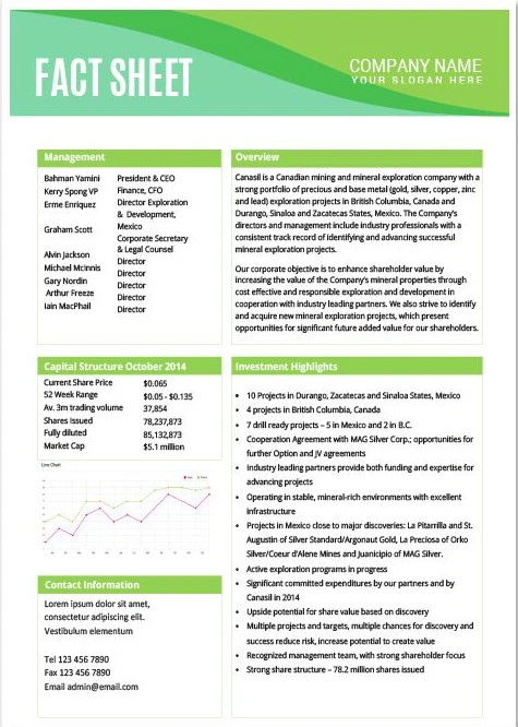 Sample of Fact Sheet Template