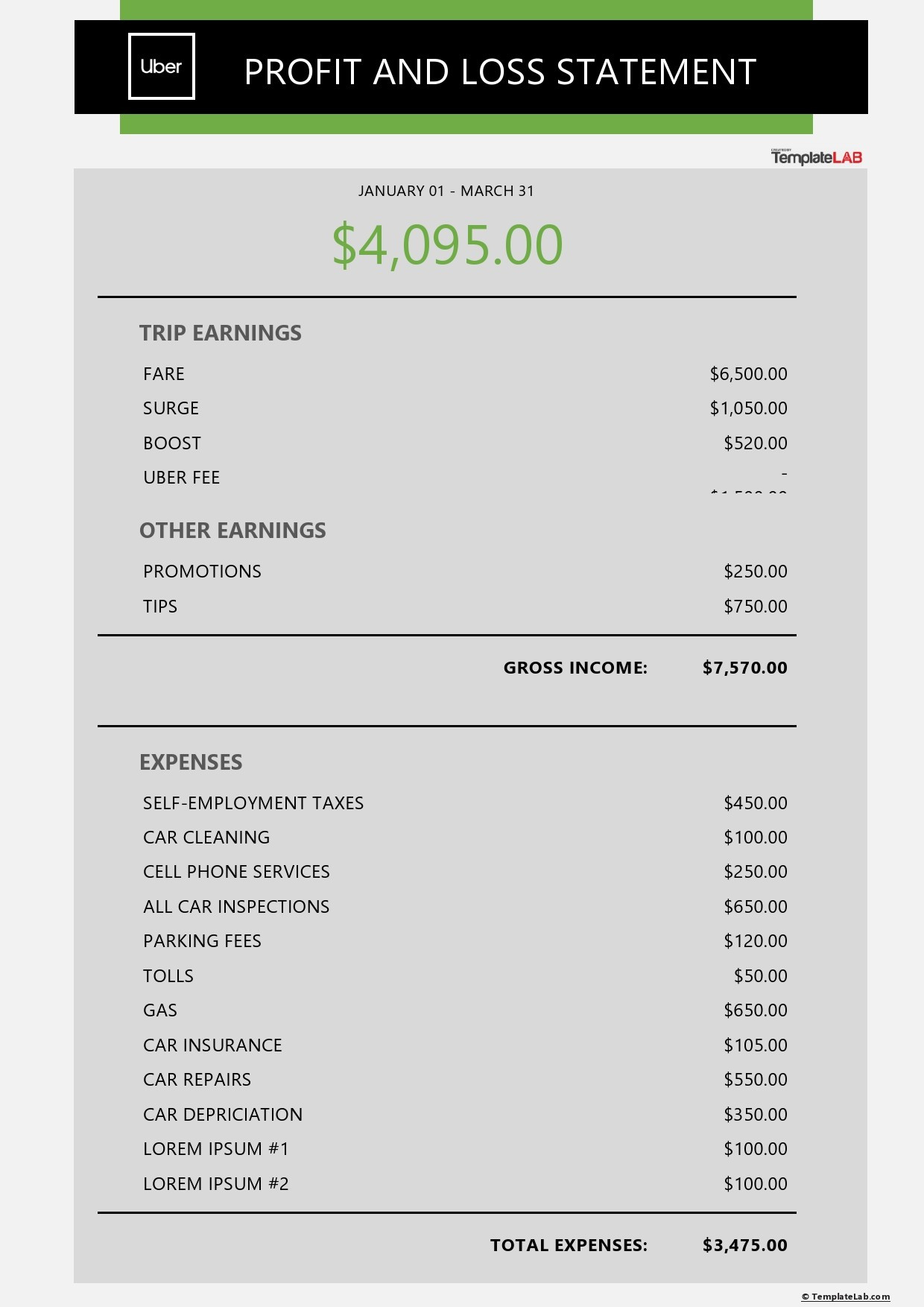 sample year to date profit and loss statement template sample year to date profit and loss statement template
